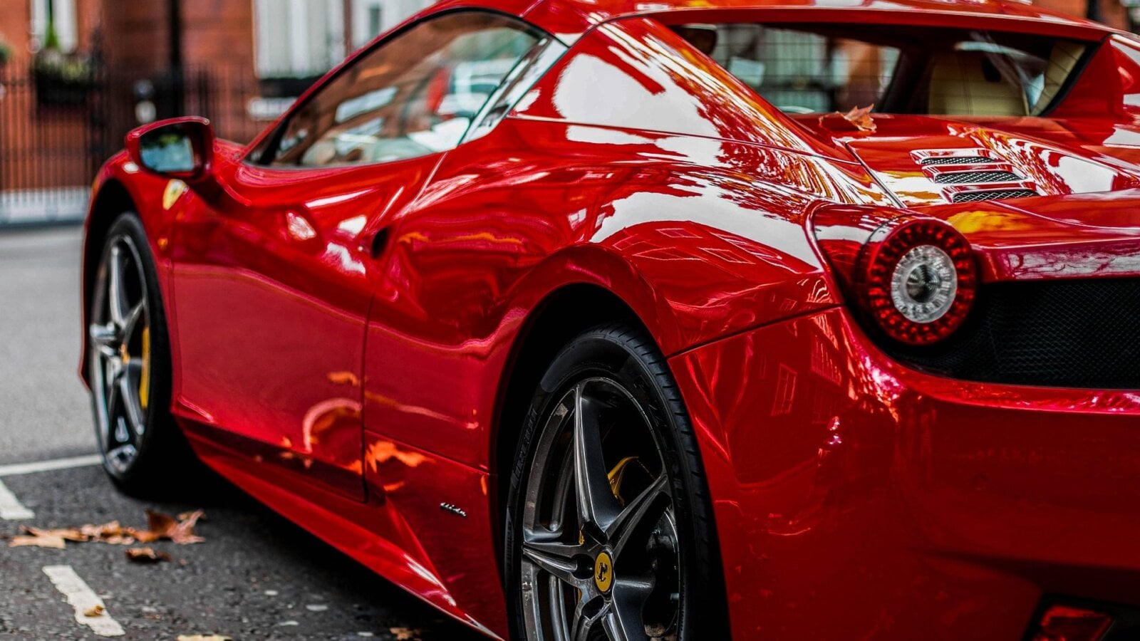 Paint Correction — mobile detailing service in the Triangle